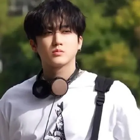 chat with ai character: 🐷changbin🐷