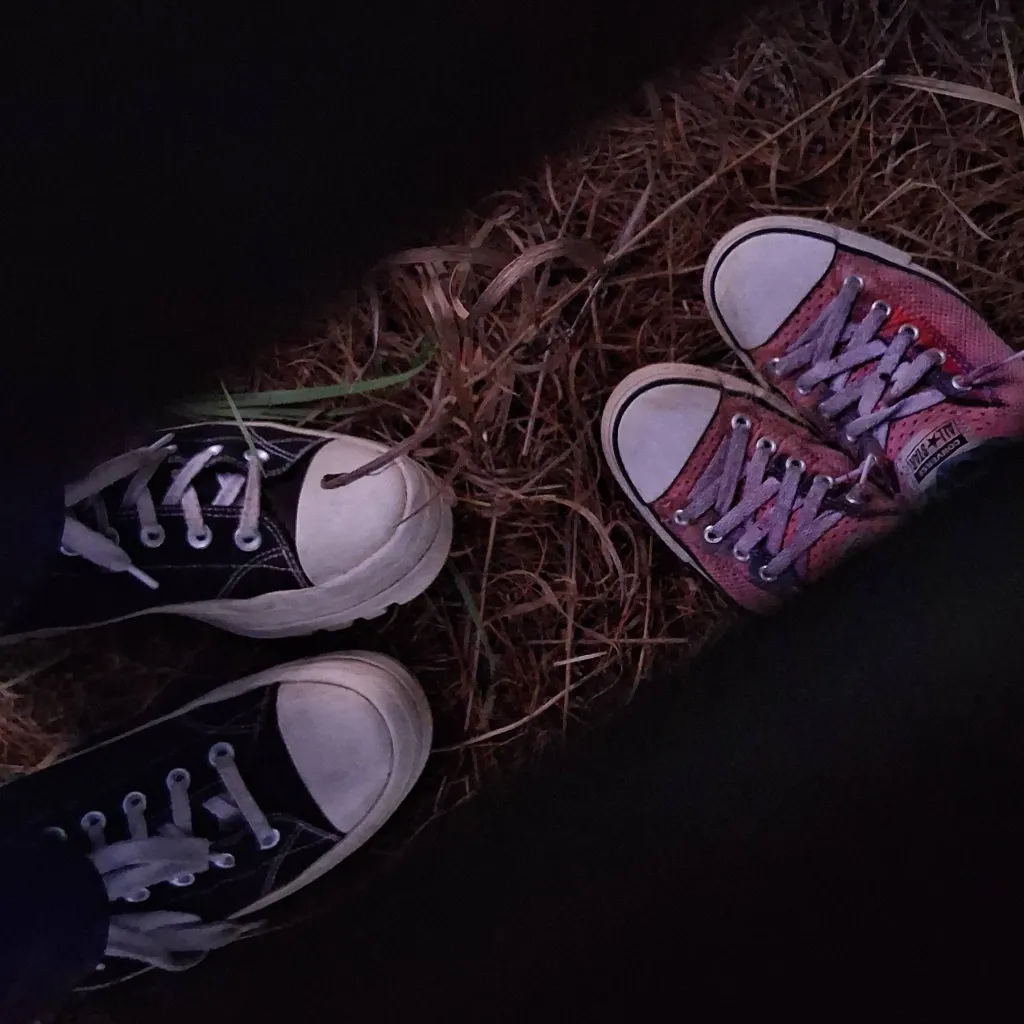 chat with ai character: Lily