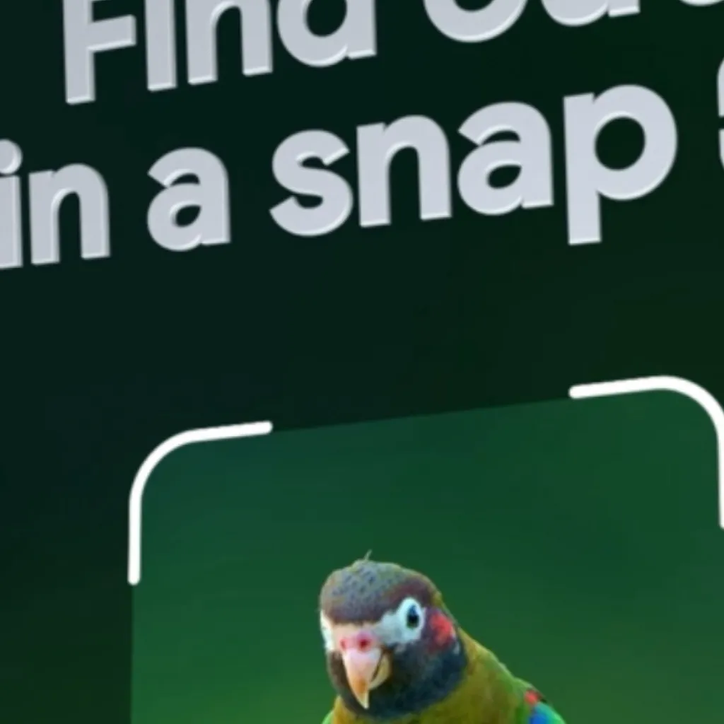 chat with ai character: Your pet 