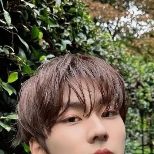 chat with ai character: Jungwon Yang