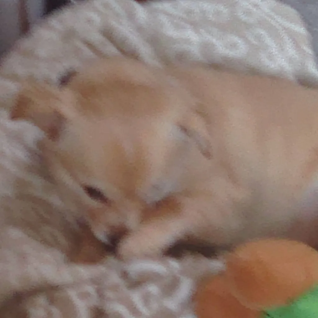 chat with ai character: Back in time