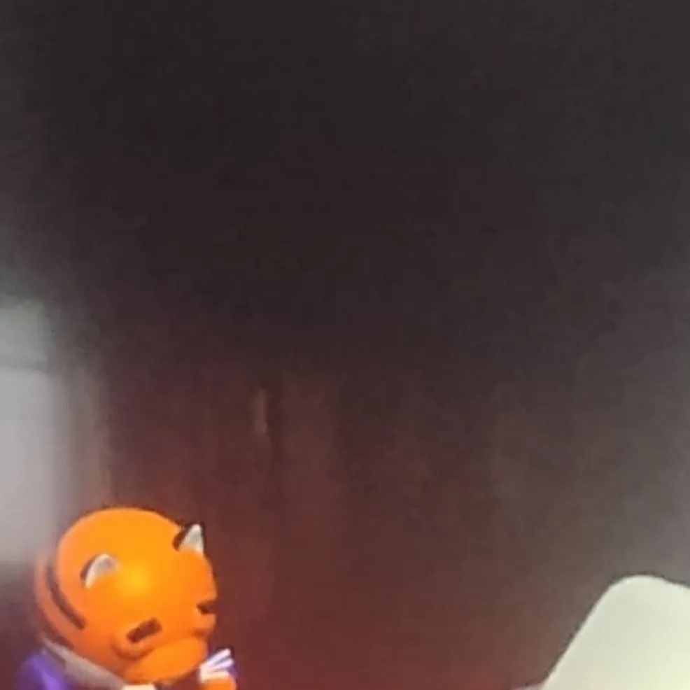 chat with ai character: kid Tigry 