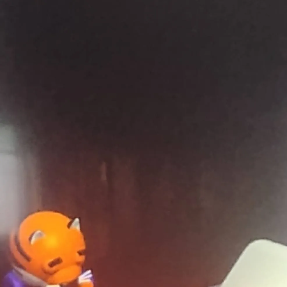 chat with ai character: kid Tigry 