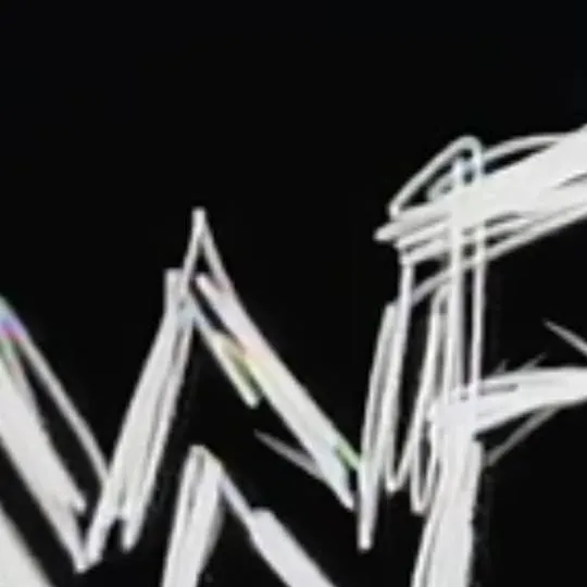 chat with ai character:  WWF bus trip! 