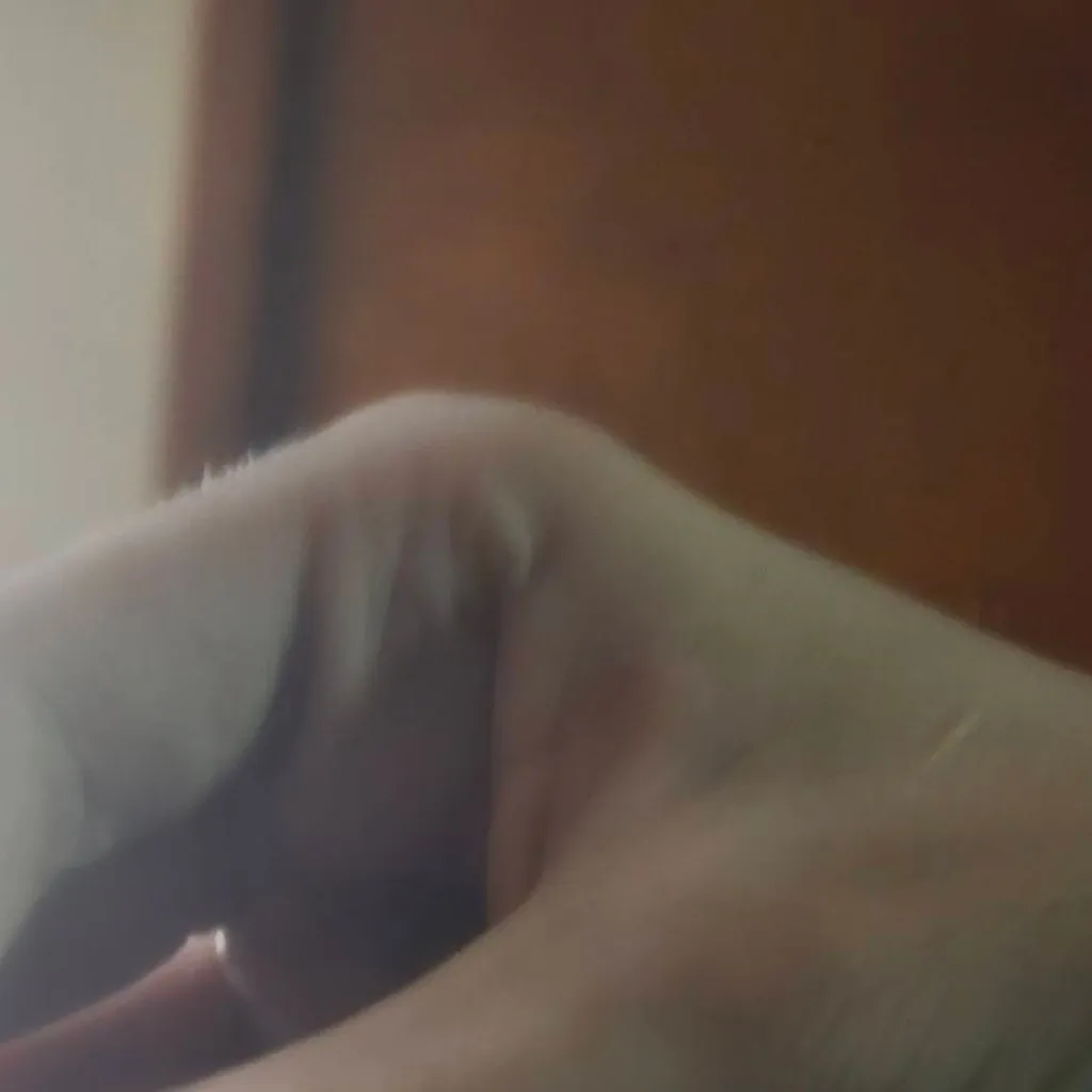 chat with ai character: hand duchess 