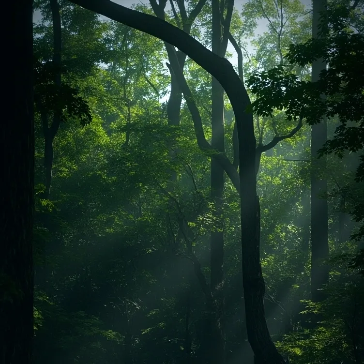 chat with ai character: mha in forest