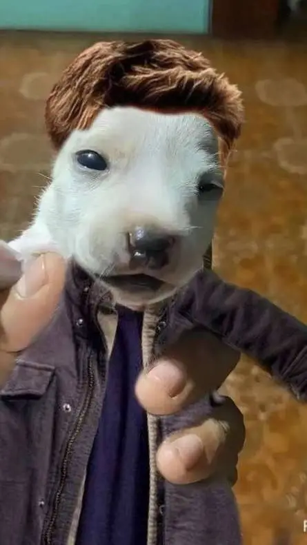 ai character: 👻🥧🐿Supernatural🐿🥧👻 background