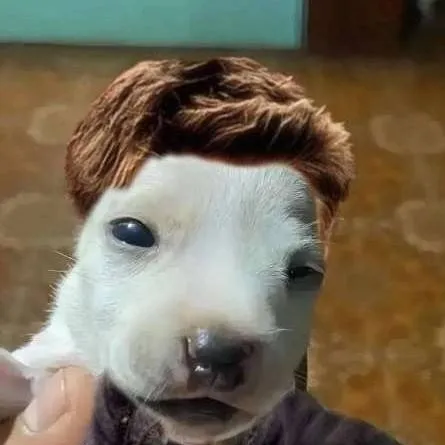 chat with ai character: 👻🥧🐿Supernatural🐿🥧👻