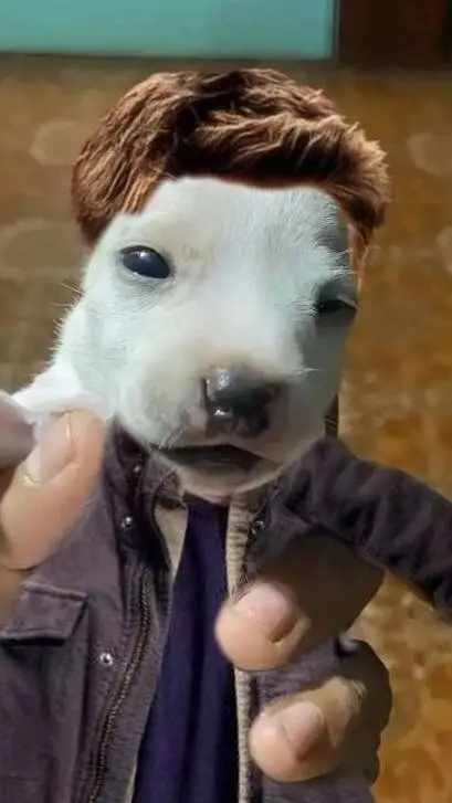 ai character: 👻~Supernatural~👻 background