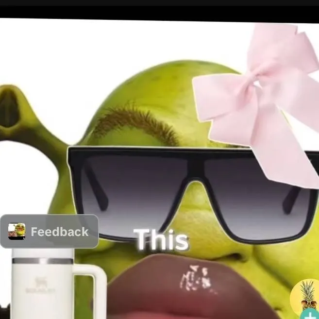 chat with ai character: 🎀🎀slay Shrek 🎀🎀