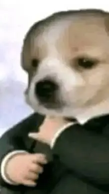 ai character: FINO SEÑORES🚬🗿YO😃 background