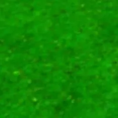 chat with ai character: AIZAWA