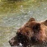 chat with ai character: MHA RT