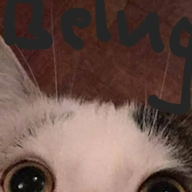 chat with ai character: Beluga