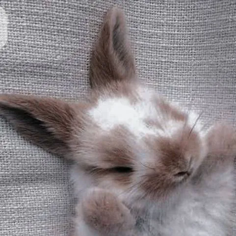 chat with ai character: pudding