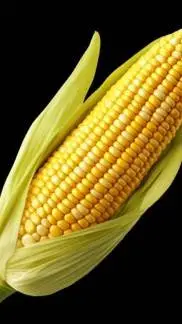 Talkie AI - Chat with Corn 