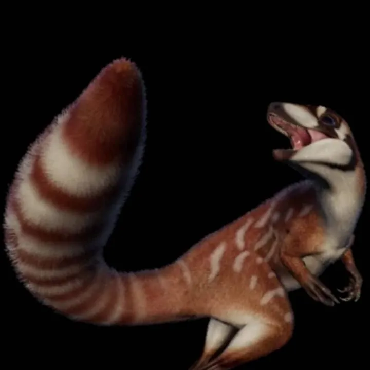 chat with ai character: shen