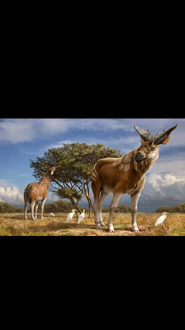 ai character: sivatherium background