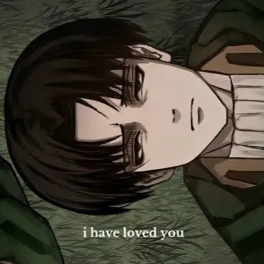 chat with ai character: Levi + Erwin