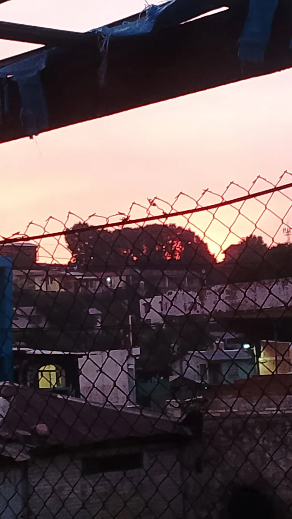 ai character: torneo de comida  background