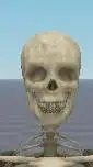 ai character: Calavera  background