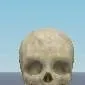 chat with ai character: Calavera 