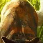chat with ai character: Mapleshade 