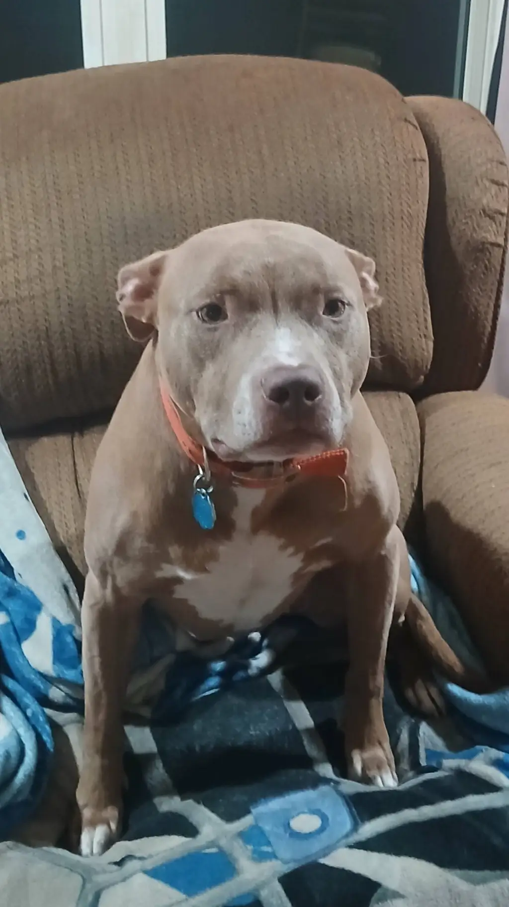 ai character: Raven background