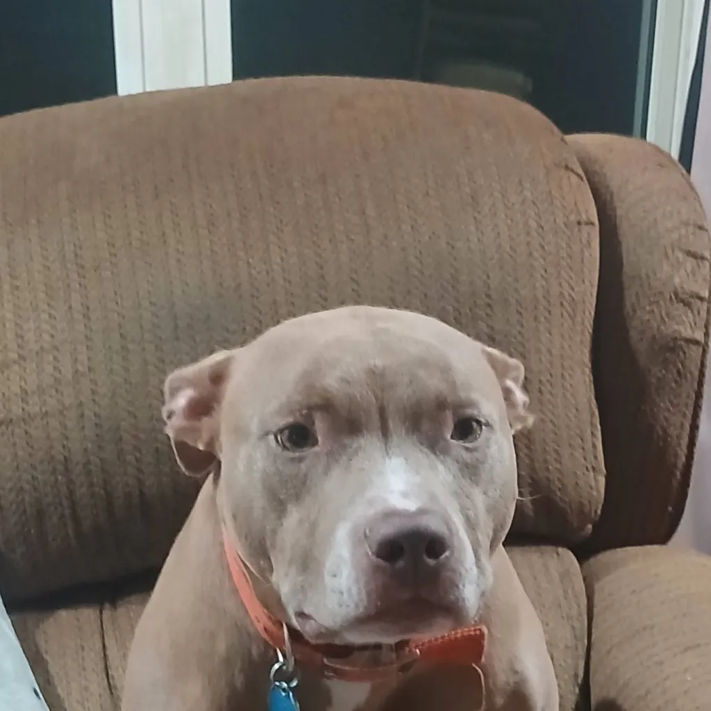 chat with ai character: Raven