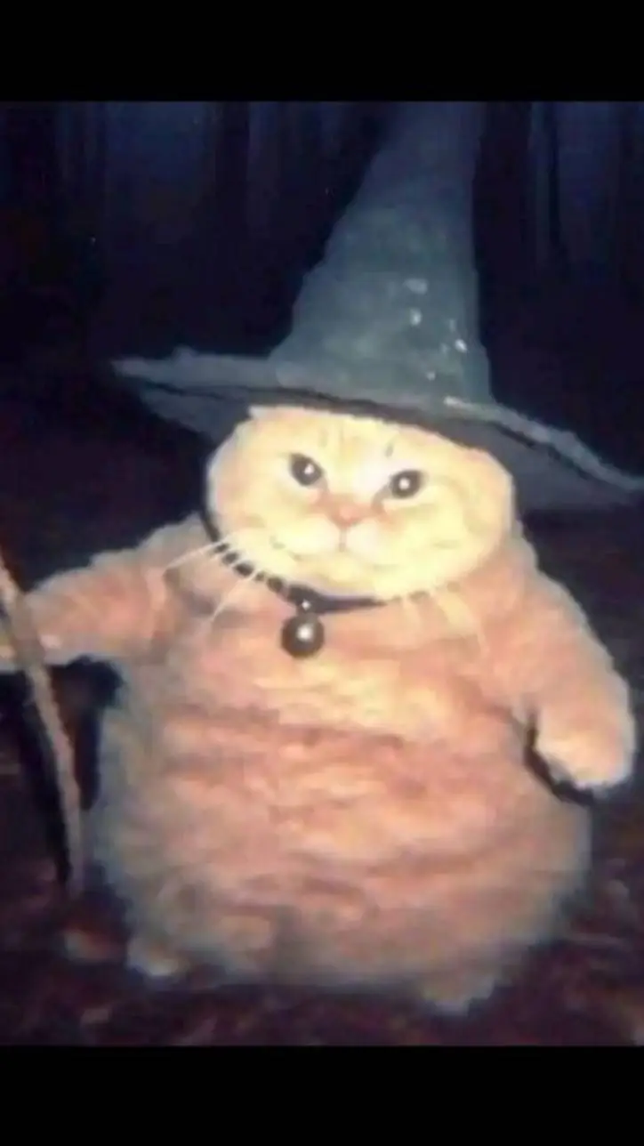ai character: The cat wiz!  background