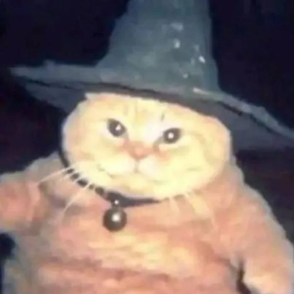 chat with ai character: The cat wiz! 