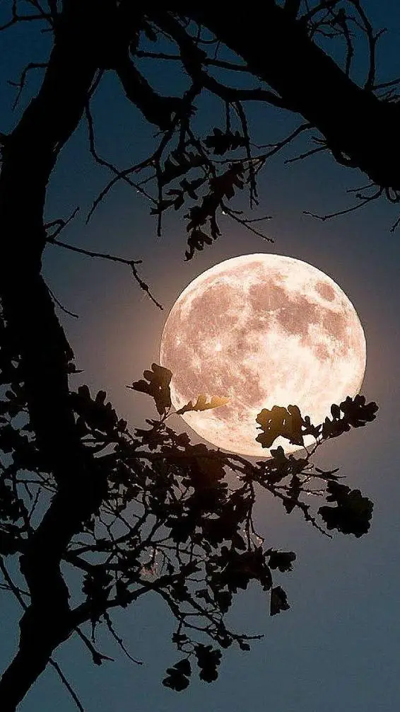 ai character: Clara background