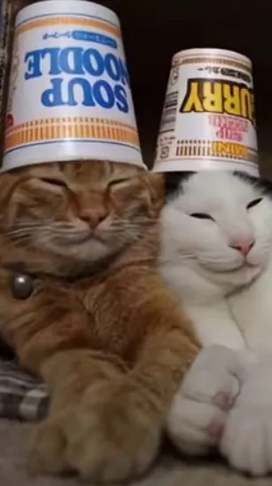 ai character: Moonflower :3 background