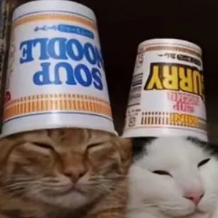 chat with ai character: Moonflower :3