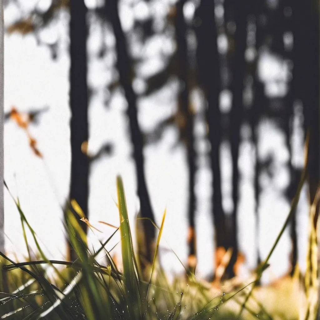 chat with ai character: go touch grass