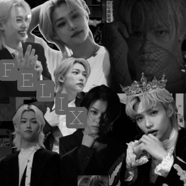 chat with ai character: STARLIX X skz 