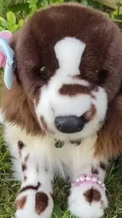 ai character: hogwarts essa background