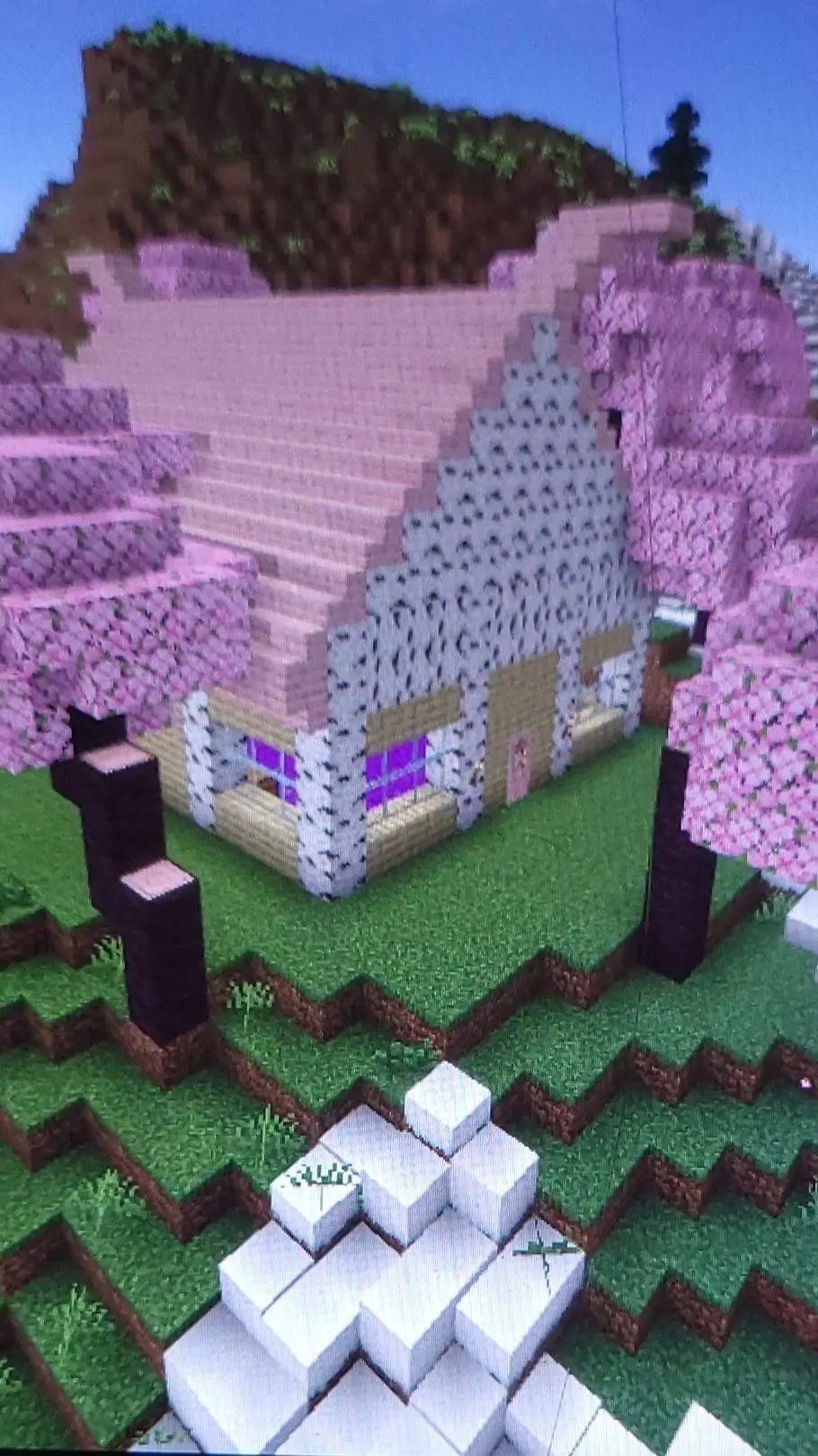 ai character: Minecraft hub background