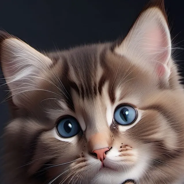 chat with ai character: ✨️Kitty✨️
