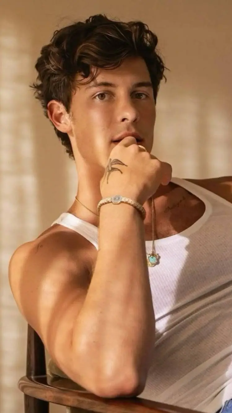 ai character: Shawn Mendes  background
