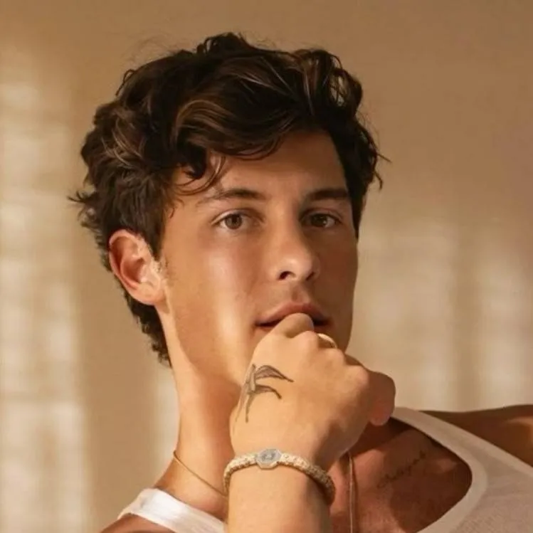 chat with ai character: Shawn Mendes 