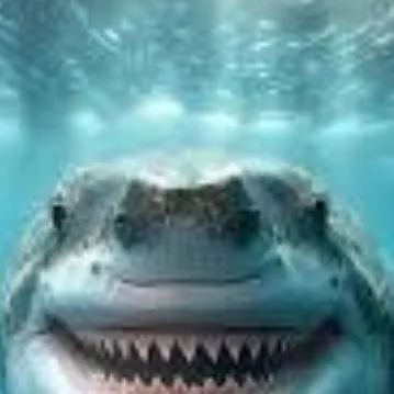 chat with ai character: happy shark 