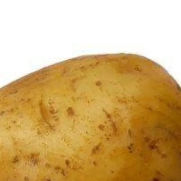 chat with ai character: patato 