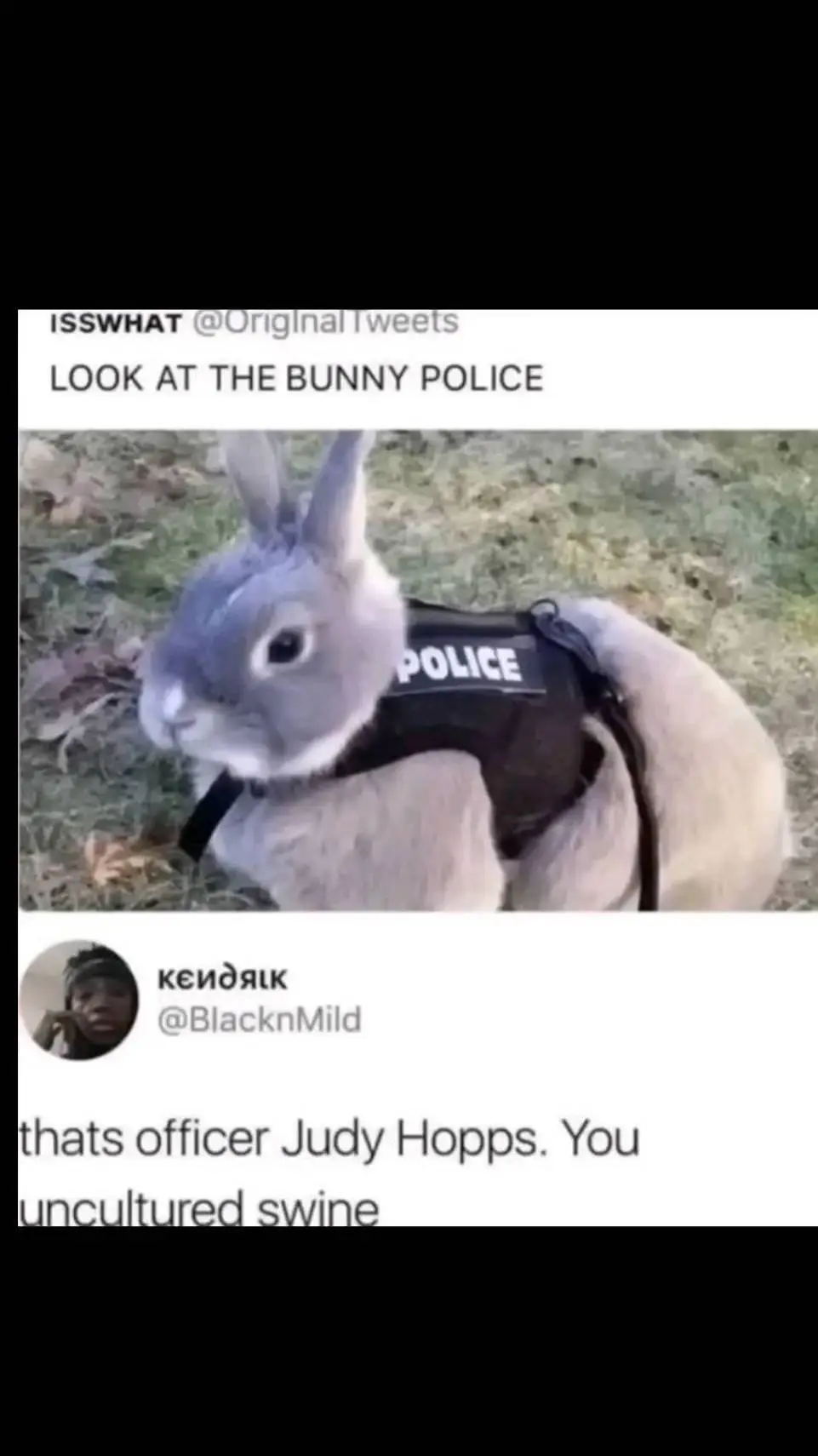 ai character: officer judy hop background