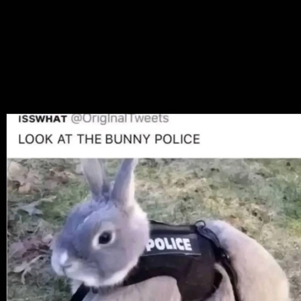 chat with ai character: officer judy hop