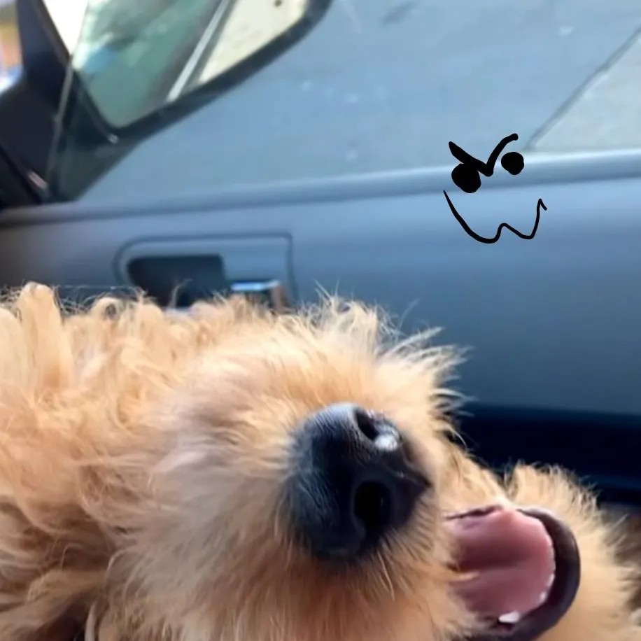 chat with ai character: boo