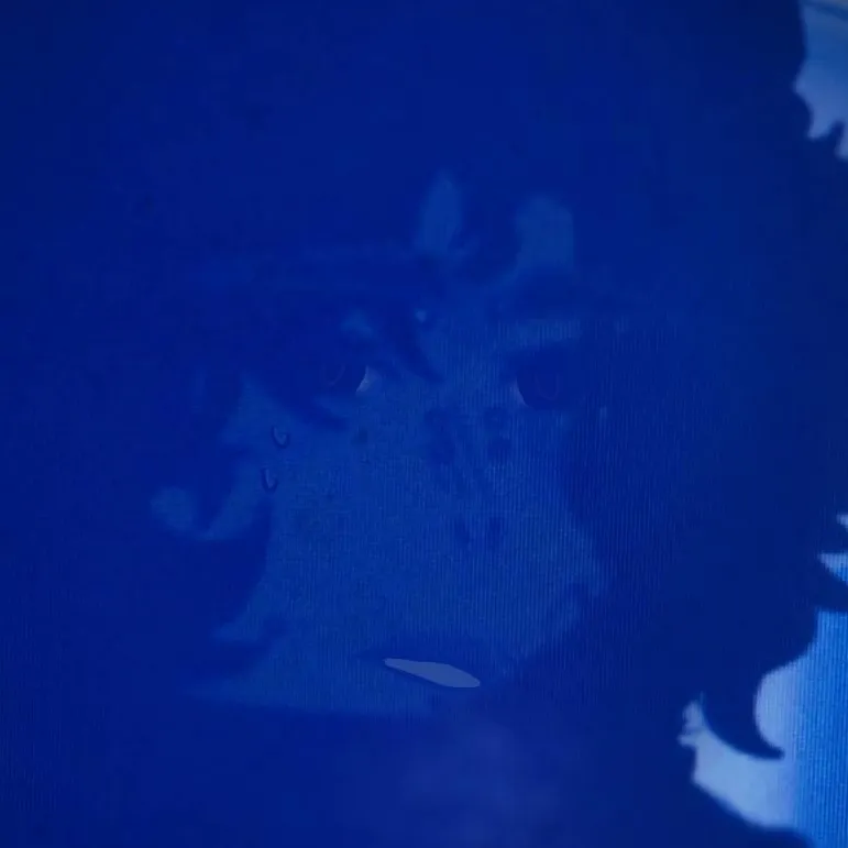 chat with ai character: ◆deathin◆