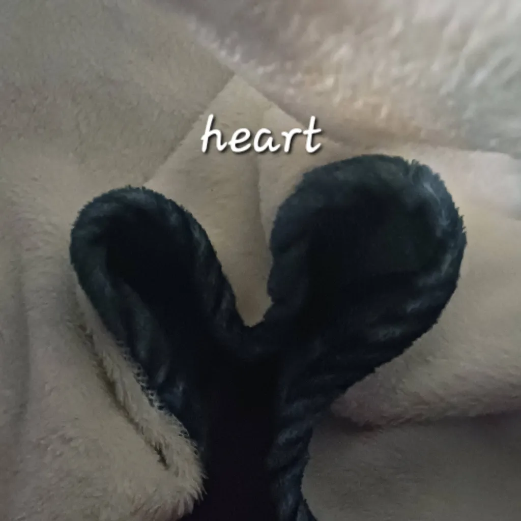 chat with ai character: MHA