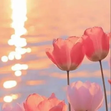 chat with ai character: Bakugo