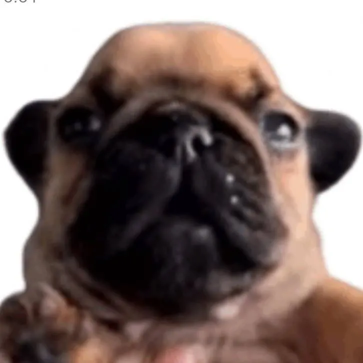 chat with ai character: Pibble